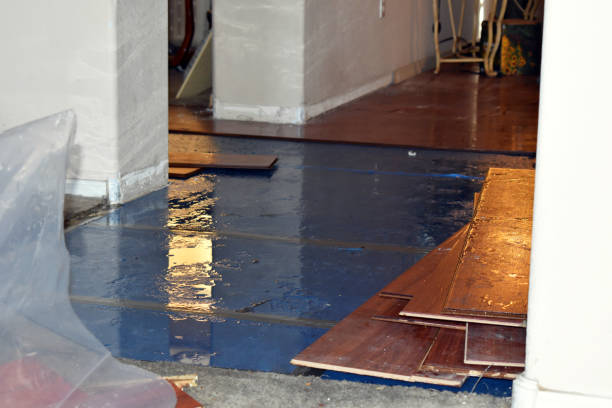 Professional Basement Flood Cleanup technician working in Luebbering, MO